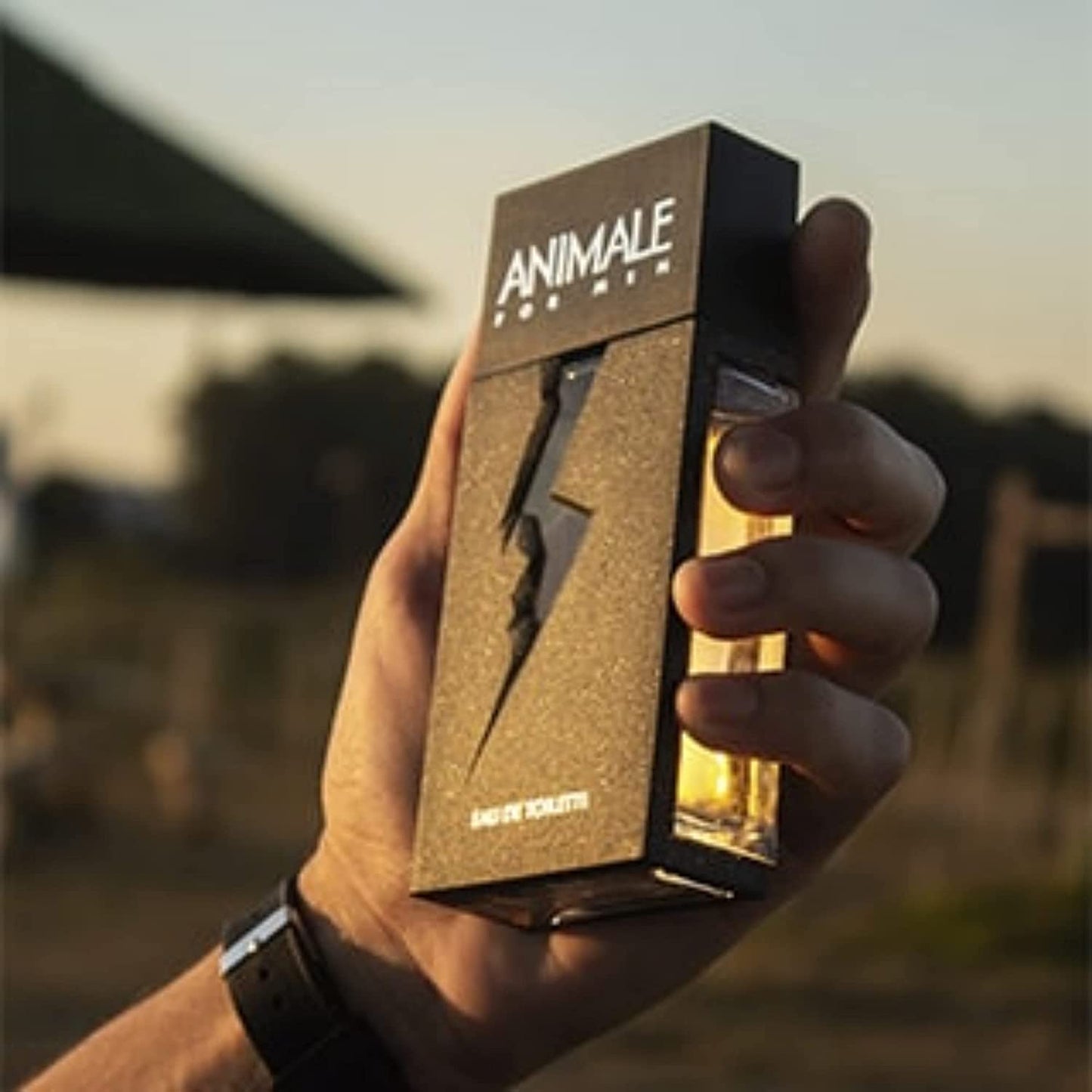 Animale For Men Parfum